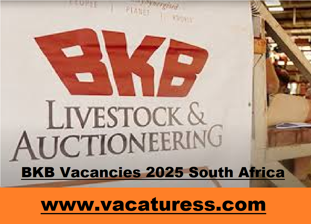 BKB Vacancies 2025 South Africa