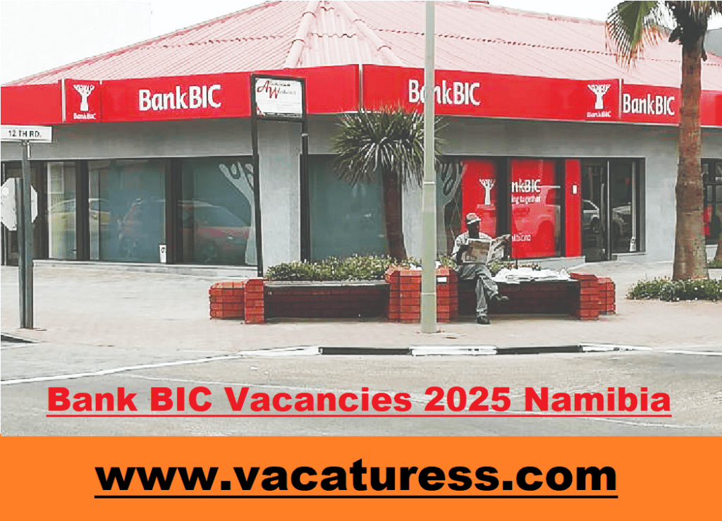 Bank BIC Vacancies 2024/2025 In Namibia Submit Online Application Form ...