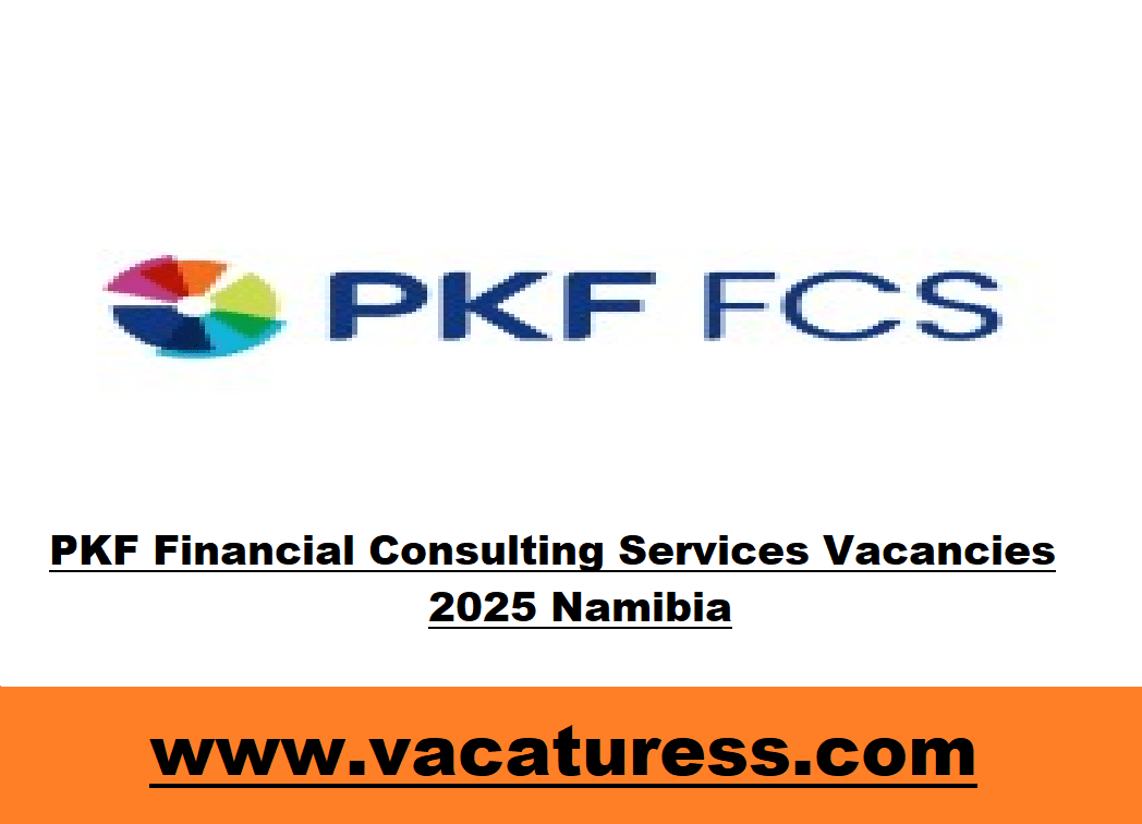 PKF Financial Consulting Services Vacancies 2025 Namibia